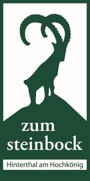 Landhaus Zum Steinbock Maria Alm am Steinernen Meer Exterior photo